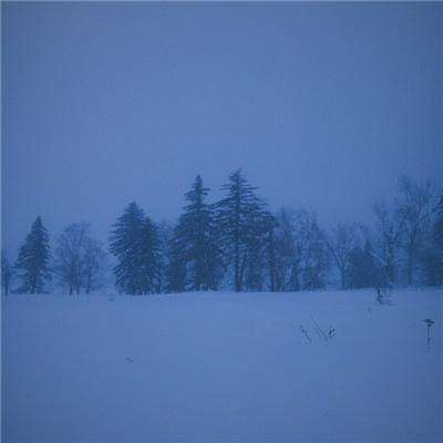 连续第13个月加量!央行开展5000亿元MLF操作,对应净投放500亿元